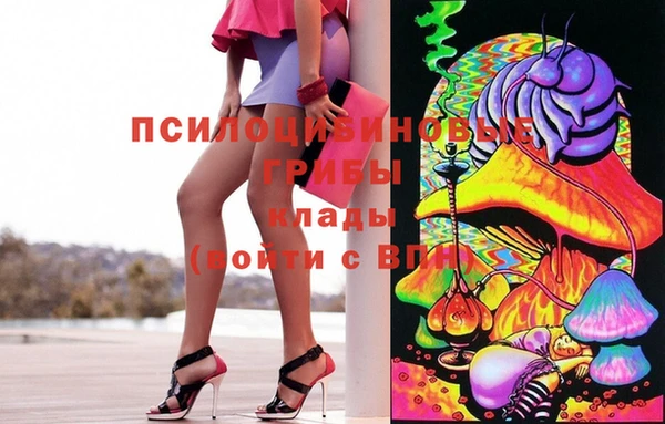 гашик Волоколамск