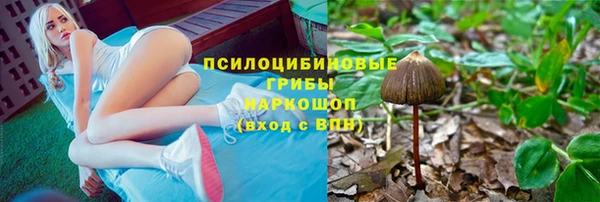 гашик Волоколамск
