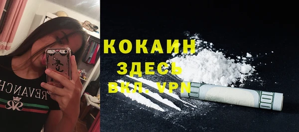 PSILOCYBIN Вязники
