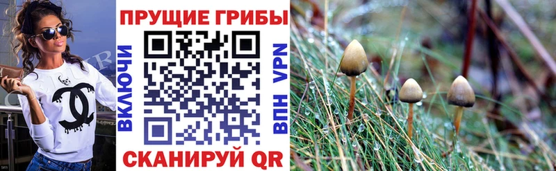 Псилоцибиновые грибы прущие грибы mega Альметьевск